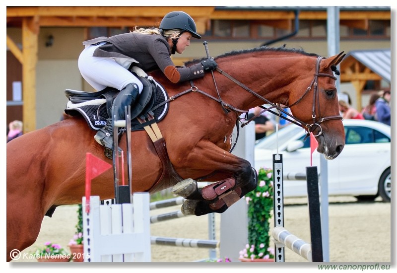 Rozalka GP - Medium Tour - 130cm