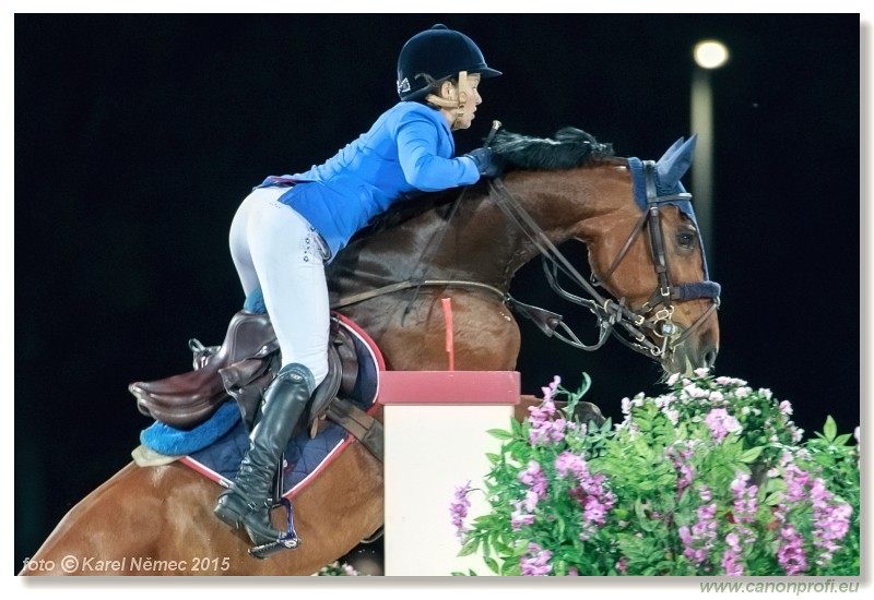 CSI2* - Silver Tour