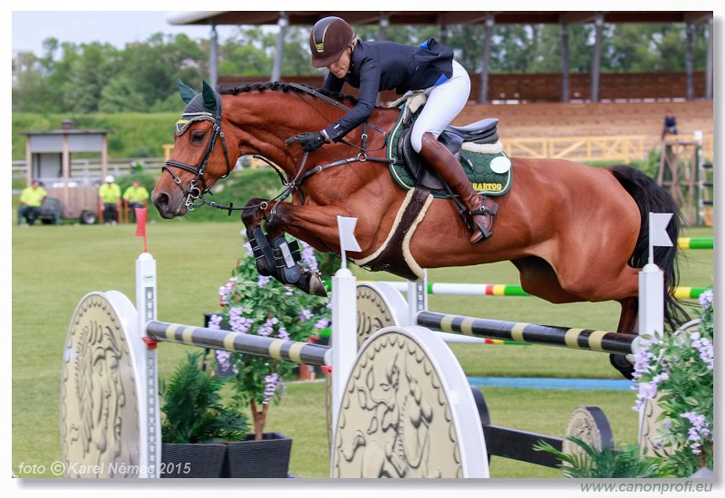 CSI2* - Grand Prix