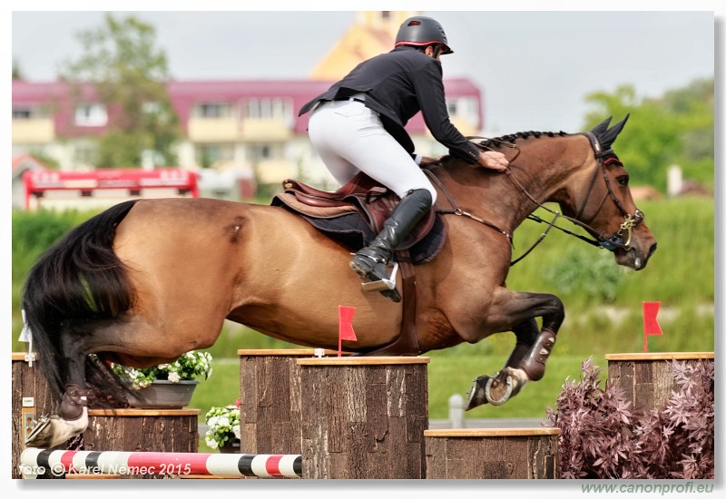 CSI2* - Grand Prix