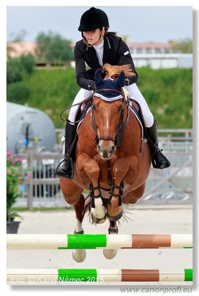 CSI2* - Medium Tour