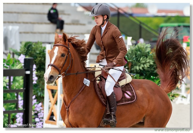 CSI2* - Medium Tour