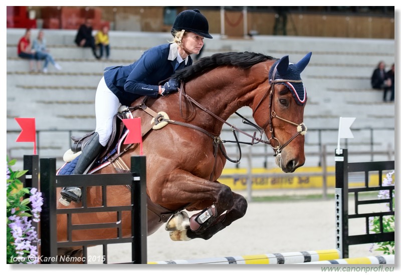 CSI2* - Medium Tour