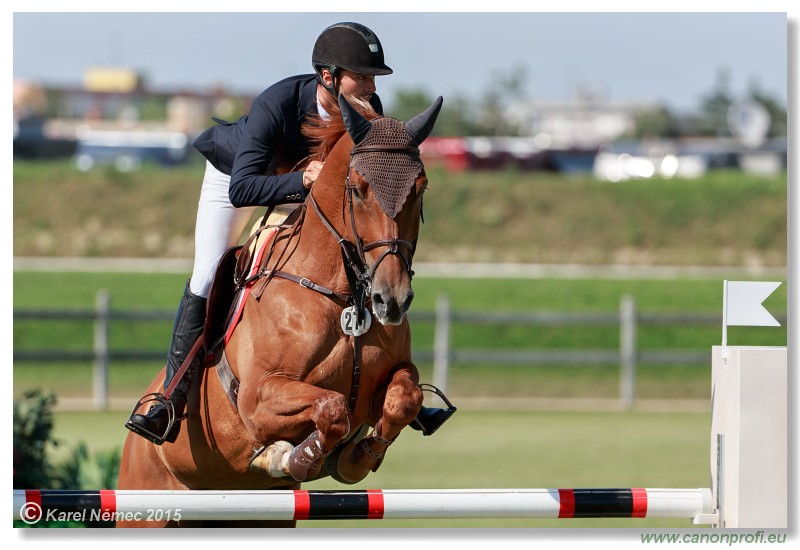 Summer Masters - Platinum Tour