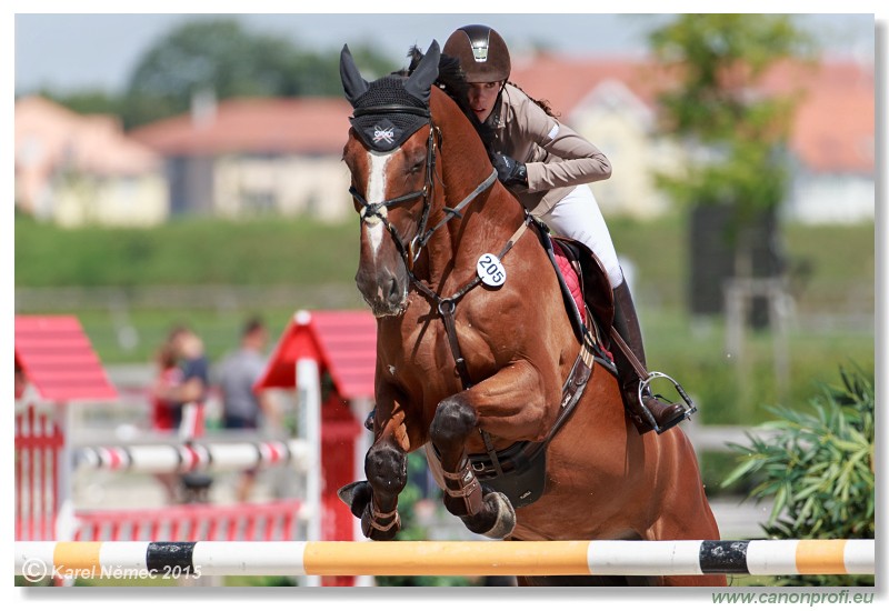 Summer Masters - Silver Tour