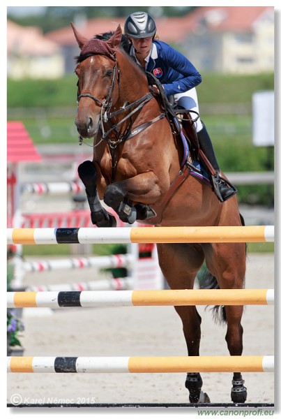 Summer Masters - Silver Tour