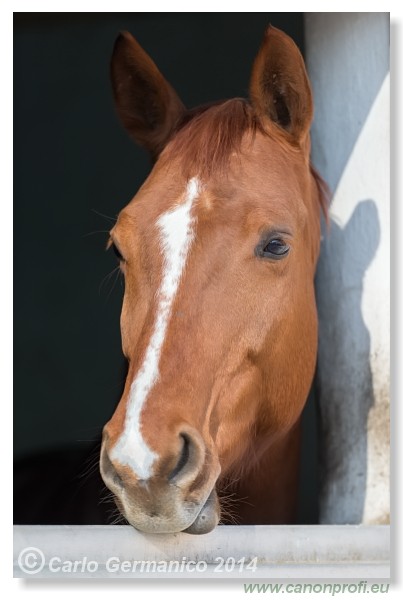 Zimn� liga 2014 - IV. kvalifik�cia