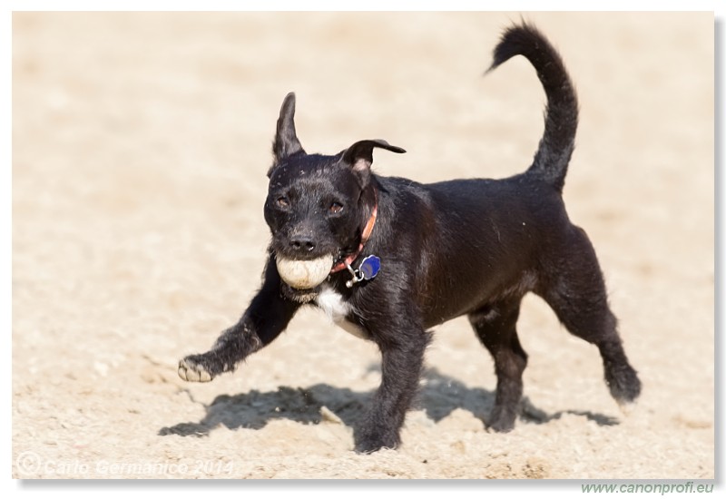 Zimn� liga 2014 - IV. kvalifik�cia