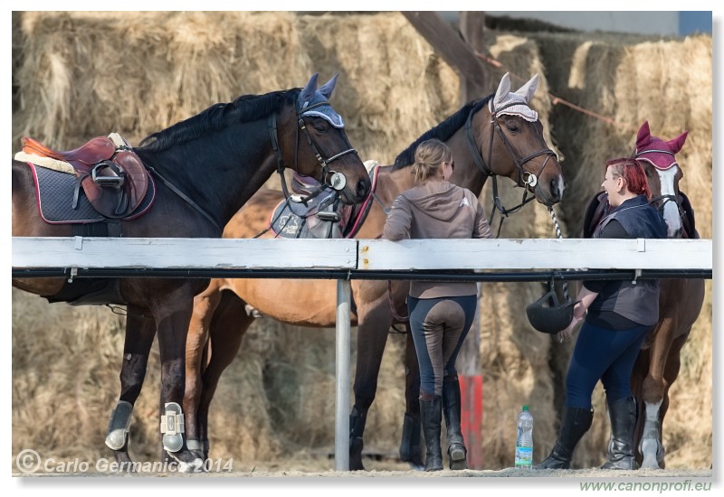 Zimn� liga 2014 - IV. kvalifik�cia