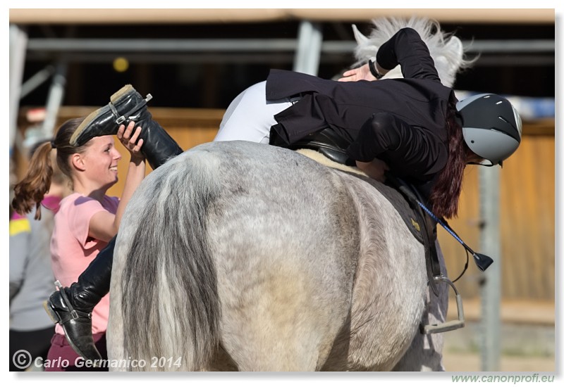 Zimn� liga 2014 - IV. kvalifik�cia