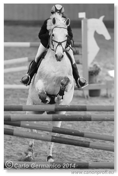 Zimn� liga 2014 - IV. kvalifik�cia