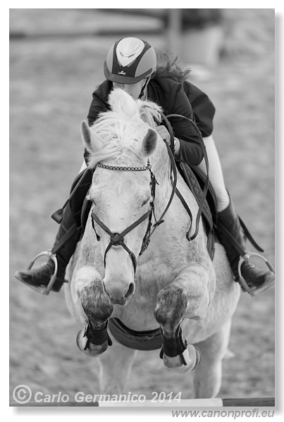 Zimn� liga 2014 - IV. kvalifik�cia