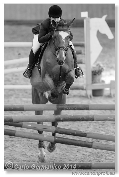 Zimn� liga 2014 - IV. kvalifik�cia