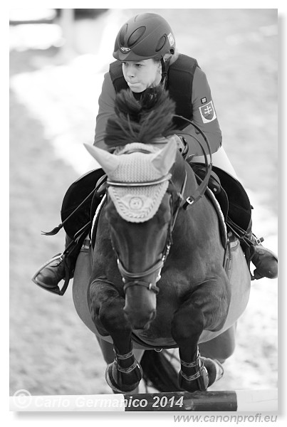 Zimn� liga 2014 - IV. kvalifik�cia