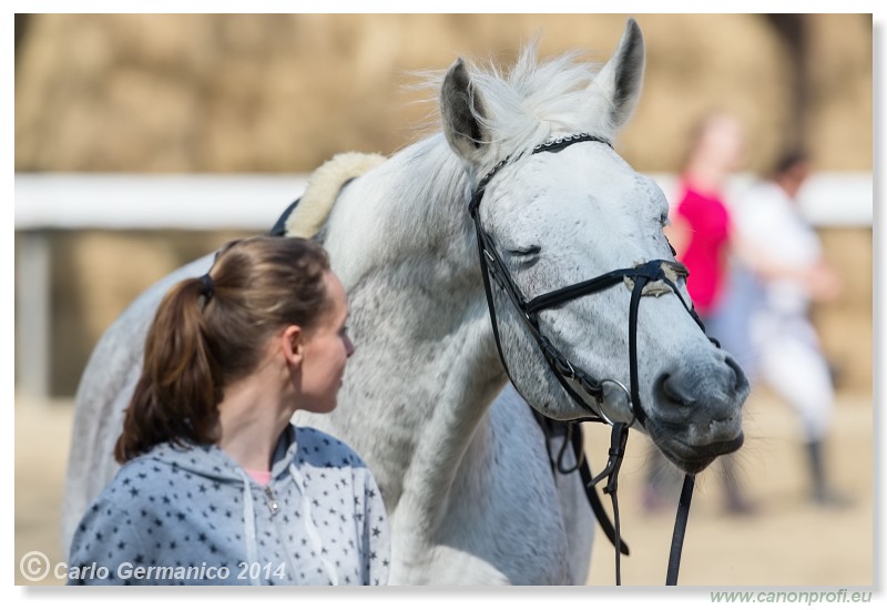 Zimn� liga 2014 - IV. kvalifik�cia