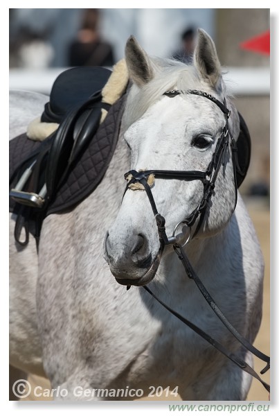 Zimn� liga 2014 - IV. kvalifik�cia