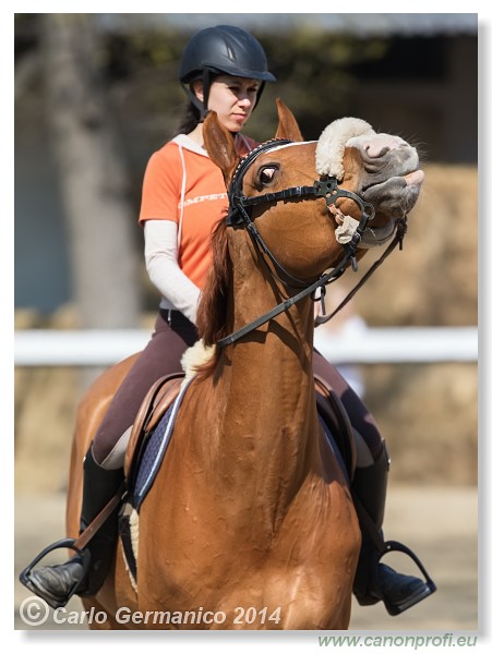 Zimn� liga 2014 - IV. kvalifik�cia