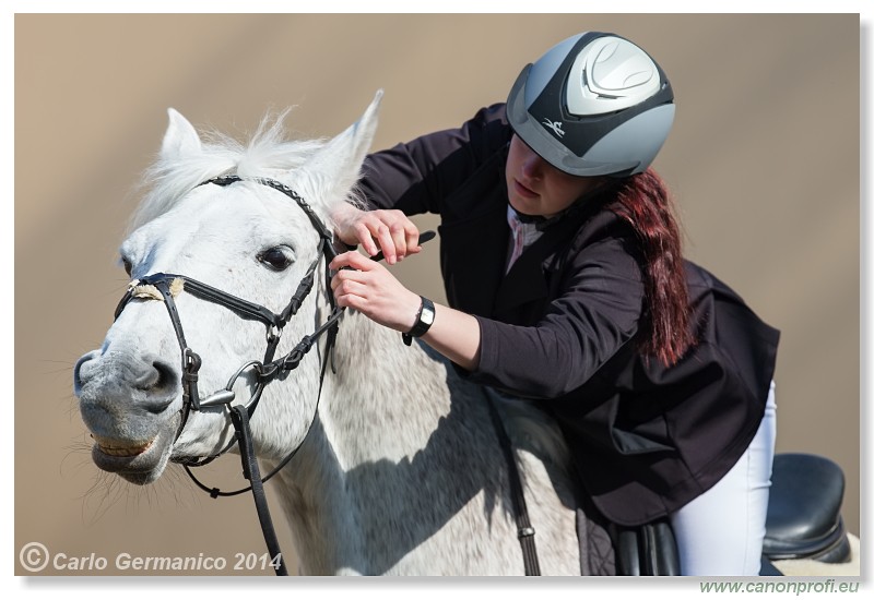 Zimn� liga 2014 - IV. kvalifik�cia