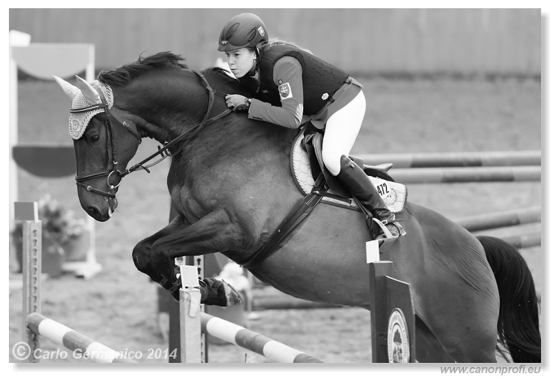 Zimn� liga 2014 - IV. kvalifik�cia