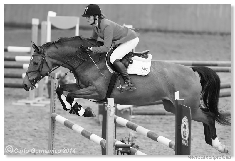 Zimn� liga 2014 - IV. kvalifik�cia