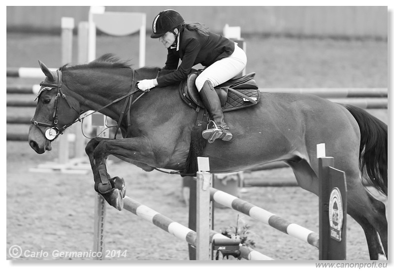 Zimn� liga 2014 - IV. kvalifik�cia