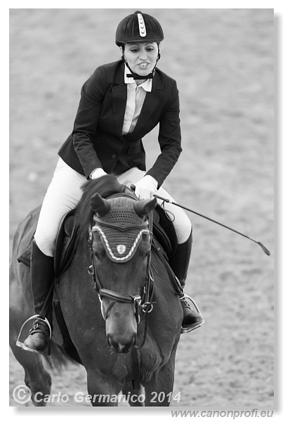 Zimn� liga 2014 - IV. kvalifik�cia