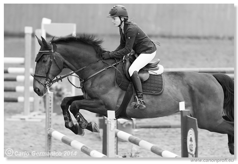 Zimn� liga 2014 - IV. kvalifik�cia