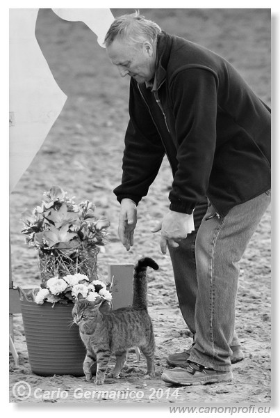 Zimn� liga 2014 - IV. kvalifik�cia