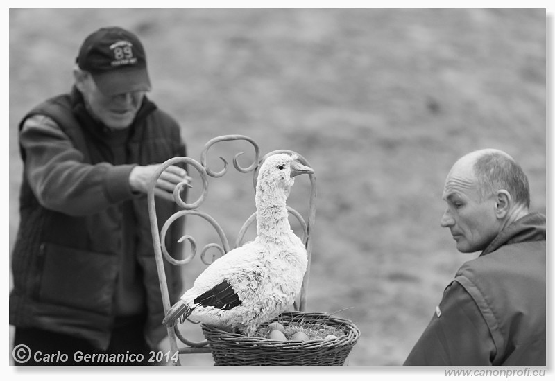 Zimn� liga 2014 - fin�le