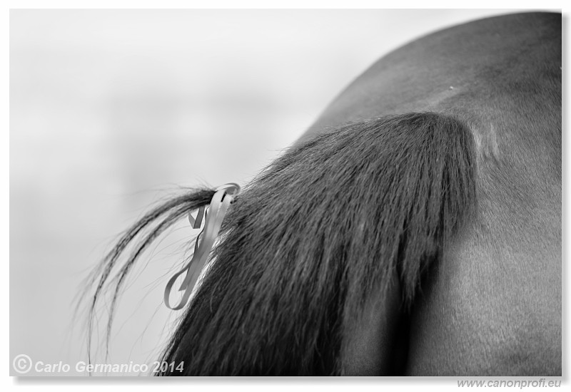 Zimn� liga 2014 - fin�le