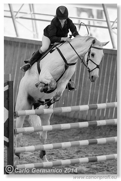 Zimn� liga 2014 - fin�le