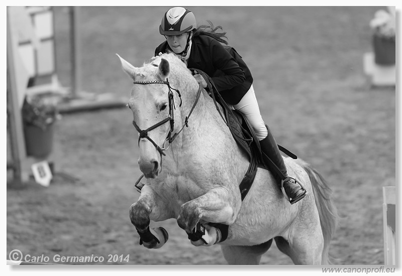 Zimn� liga 2014 - fin�le