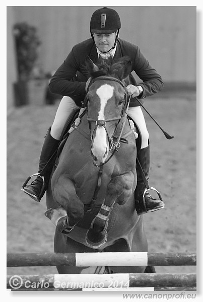 Zimn� liga 2014 - fin�le