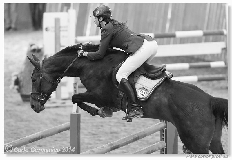 Zimn� liga 2014 - fin�le