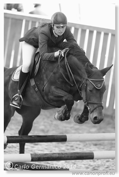 Zimn� liga 2014 - fin�le