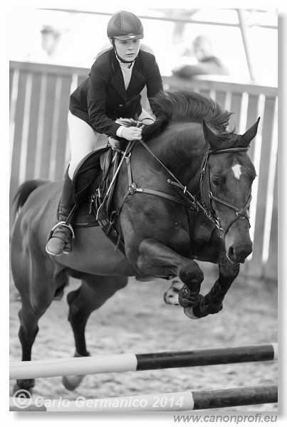 Zimn� liga 2014 - fin�le