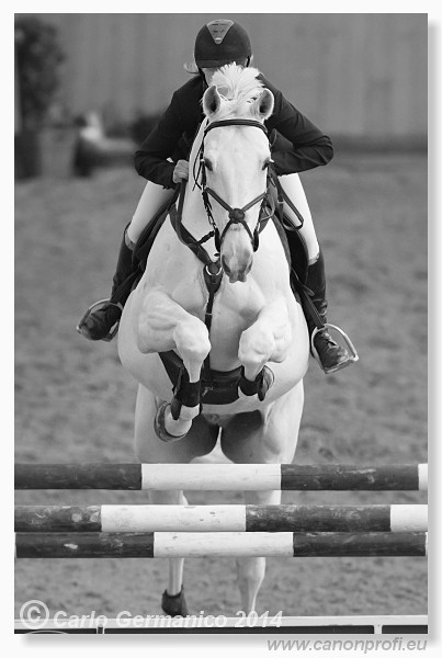 Zimn� liga 2014 - fin�le