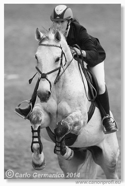 Zimn� liga 2014 - fin�le