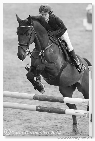 Zimn� liga 2014 - fin�le