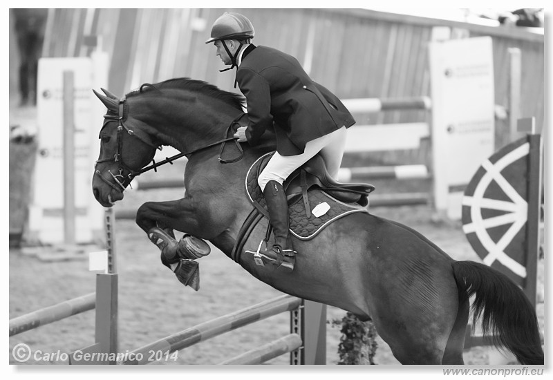 Zimn� liga 2014 - fin�le