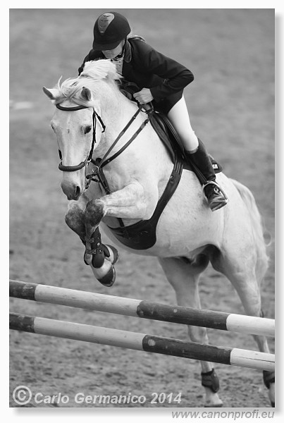 Zimn� liga 2014 - fin�le