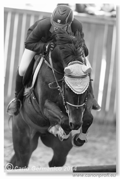 Zimn� liga 2014 - fin�le