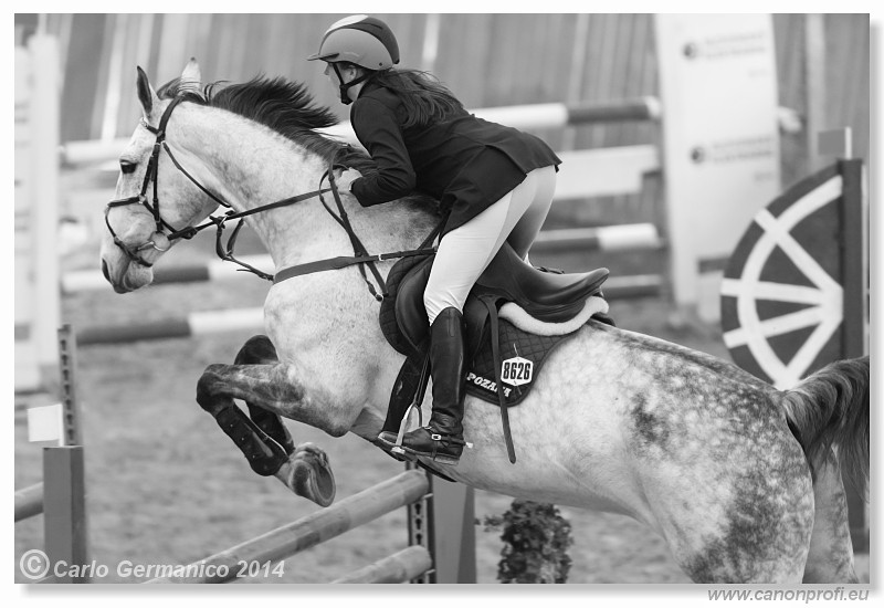 Zimn� liga 2014 - fin�le