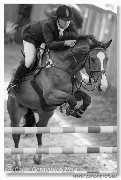 Zimn� liga 2014 - fin�le