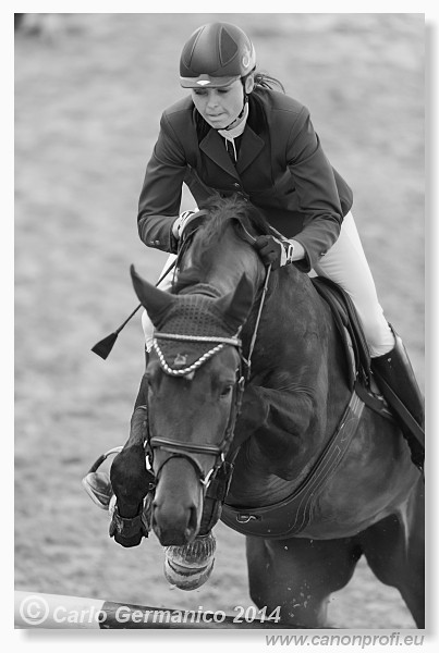 Zimn� liga 2014 - fin�le