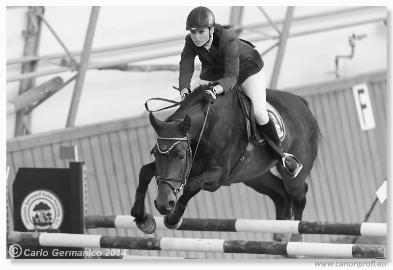 Zimn� liga 2014 - fin�le