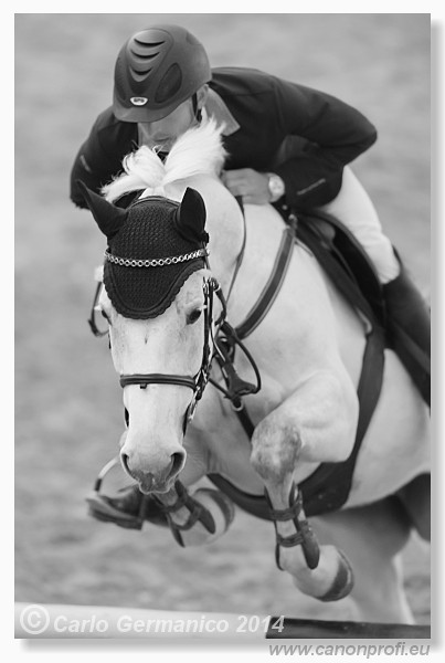 Zimn� liga 2014 - fin�le