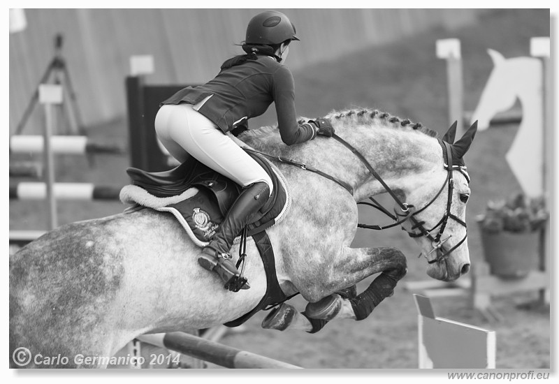 Zimn� liga 2014 - fin�le