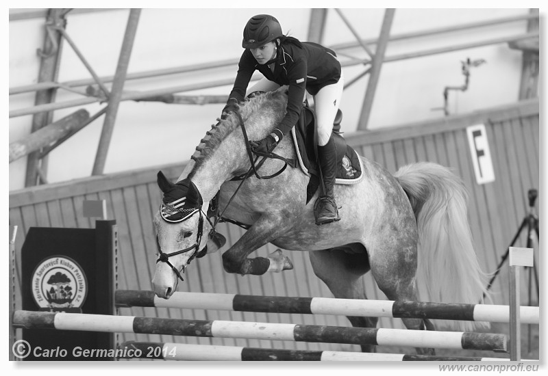 Zimn� liga 2014 - fin�le