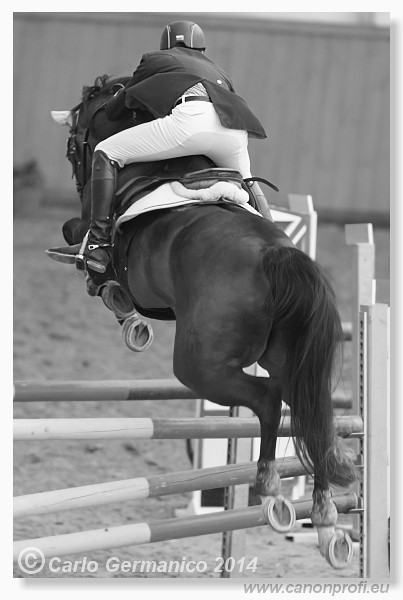 Zimn� liga 2014 - fin�le